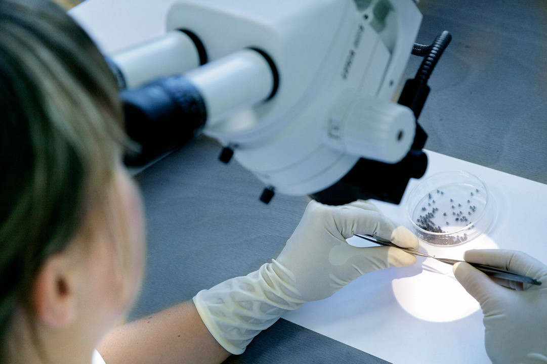 Kurz: Over 1,400 m² of production, office, and storage space Kurz: Over 1,400 m² of production, office, and storage space